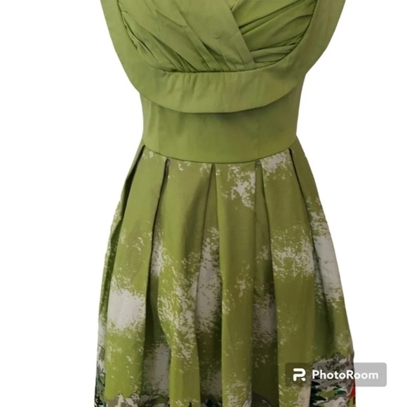 Green Detailed Bodice Fit and Flare‎ Retro Inspired Sun Dress - Picture 3 of 16